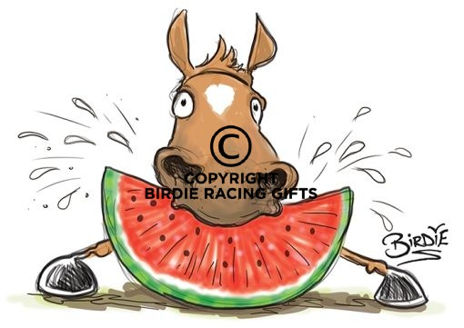 Melon