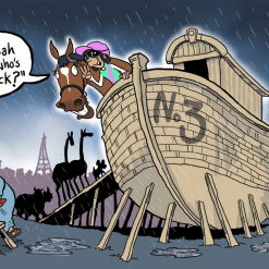 Enable Noah