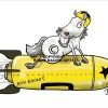 Roy Rocket