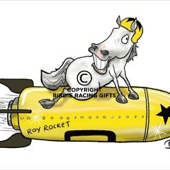 Roy Rocket