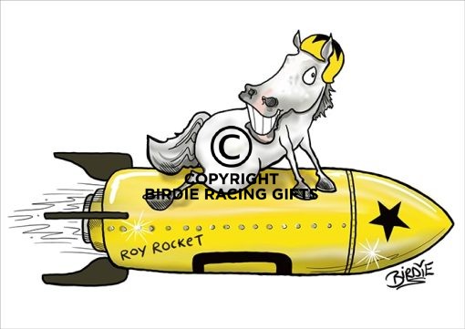 Roy Rocket