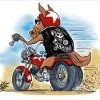 Samcro