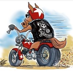 Samcro